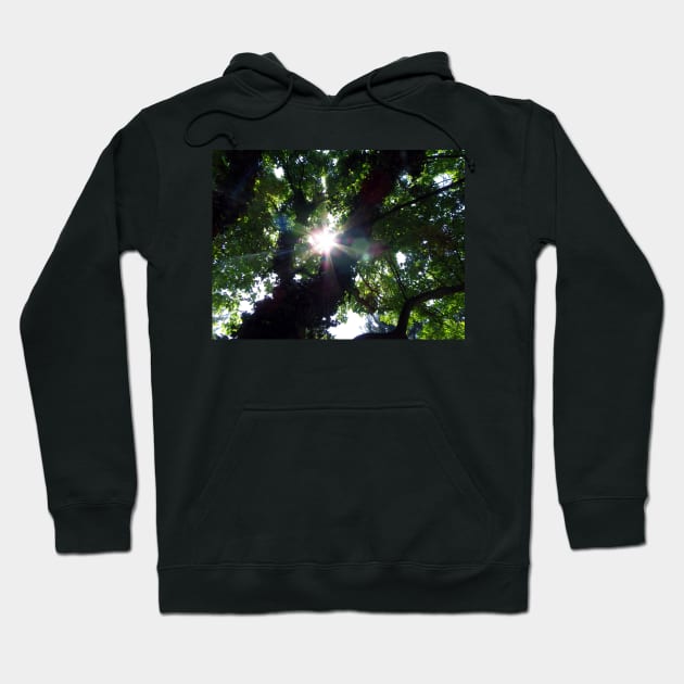 Sunbeam Art Photography Sunshine Shining Through The Summer Tree Beautiful Nature Hoodie by tamdevo1